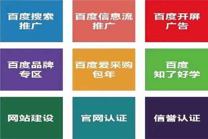 百度竞价排名策略解析：一家公司的广告投放策略全揭秘